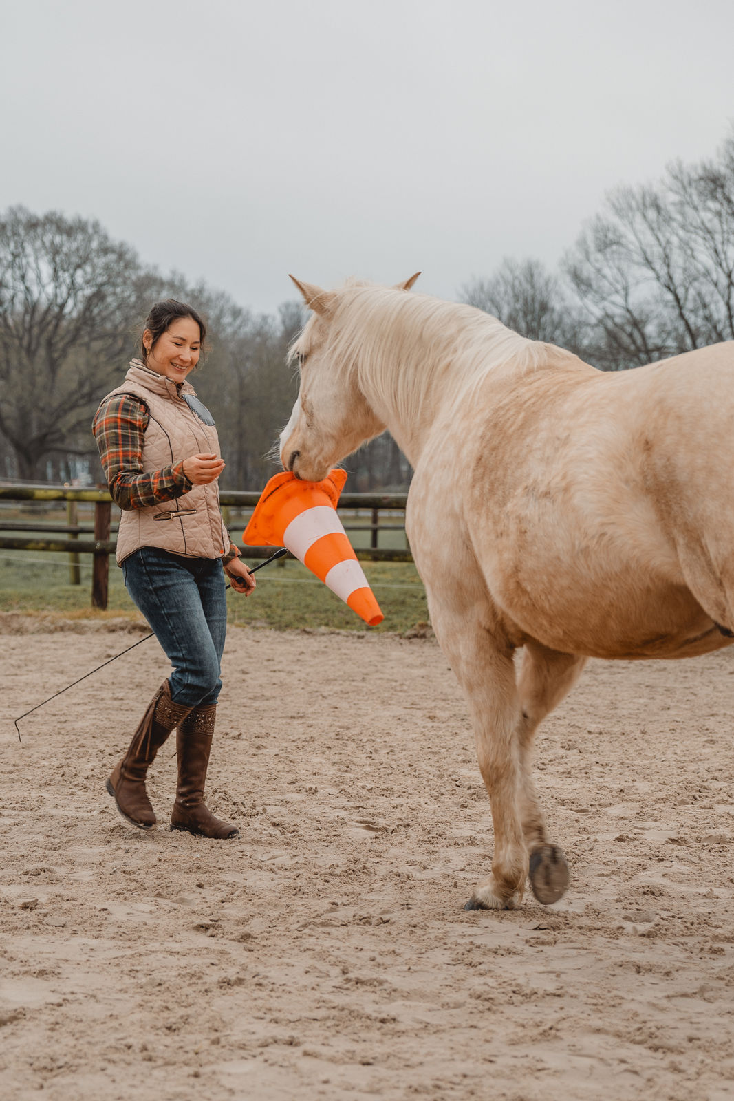 Warum ich Fellow das Apportieren beigebracht habe – und warum das niemals nur Training war