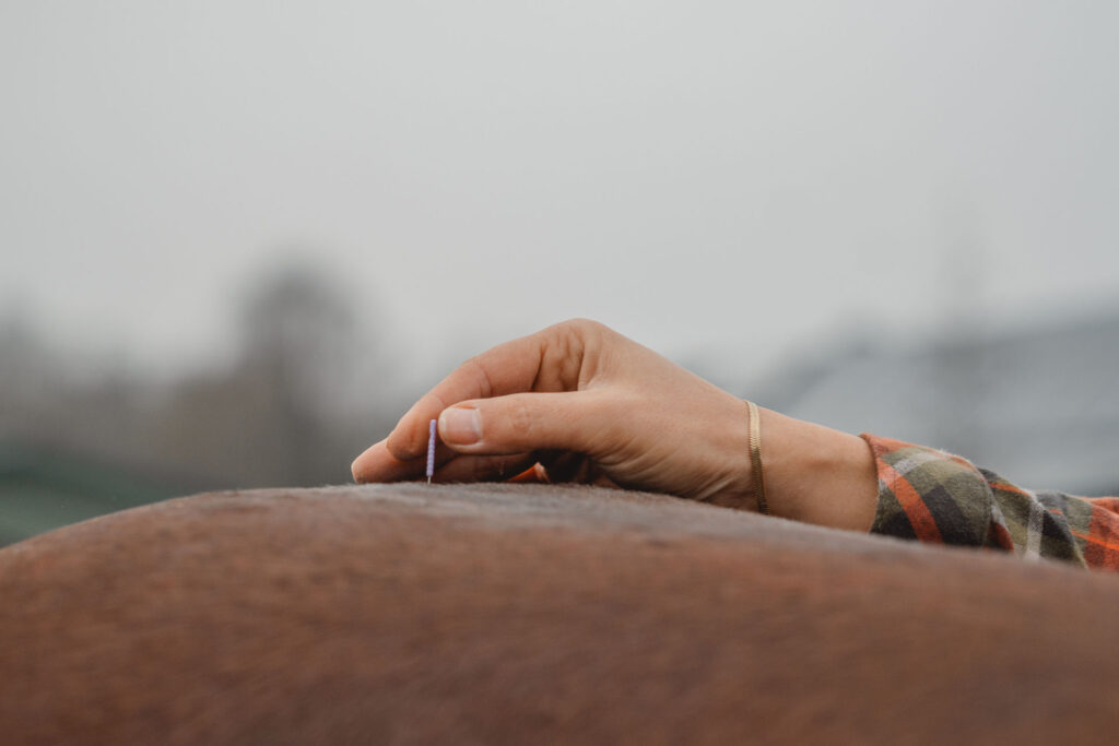 MAVITA - Qi-Osteopathie für Pferde