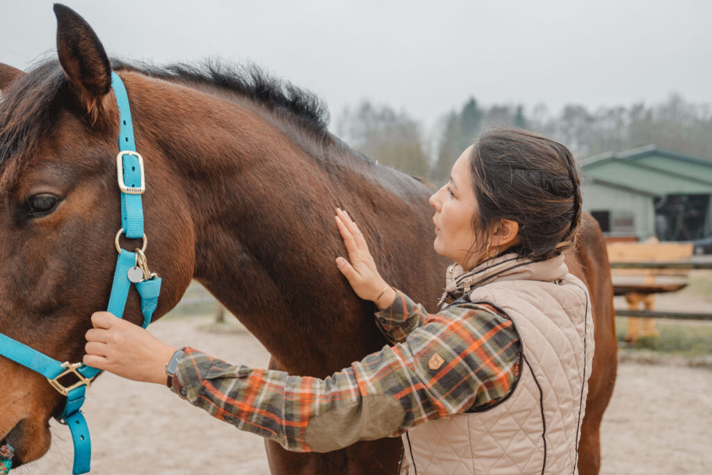 MAVITA - Qi-Osteopathie für Pferde