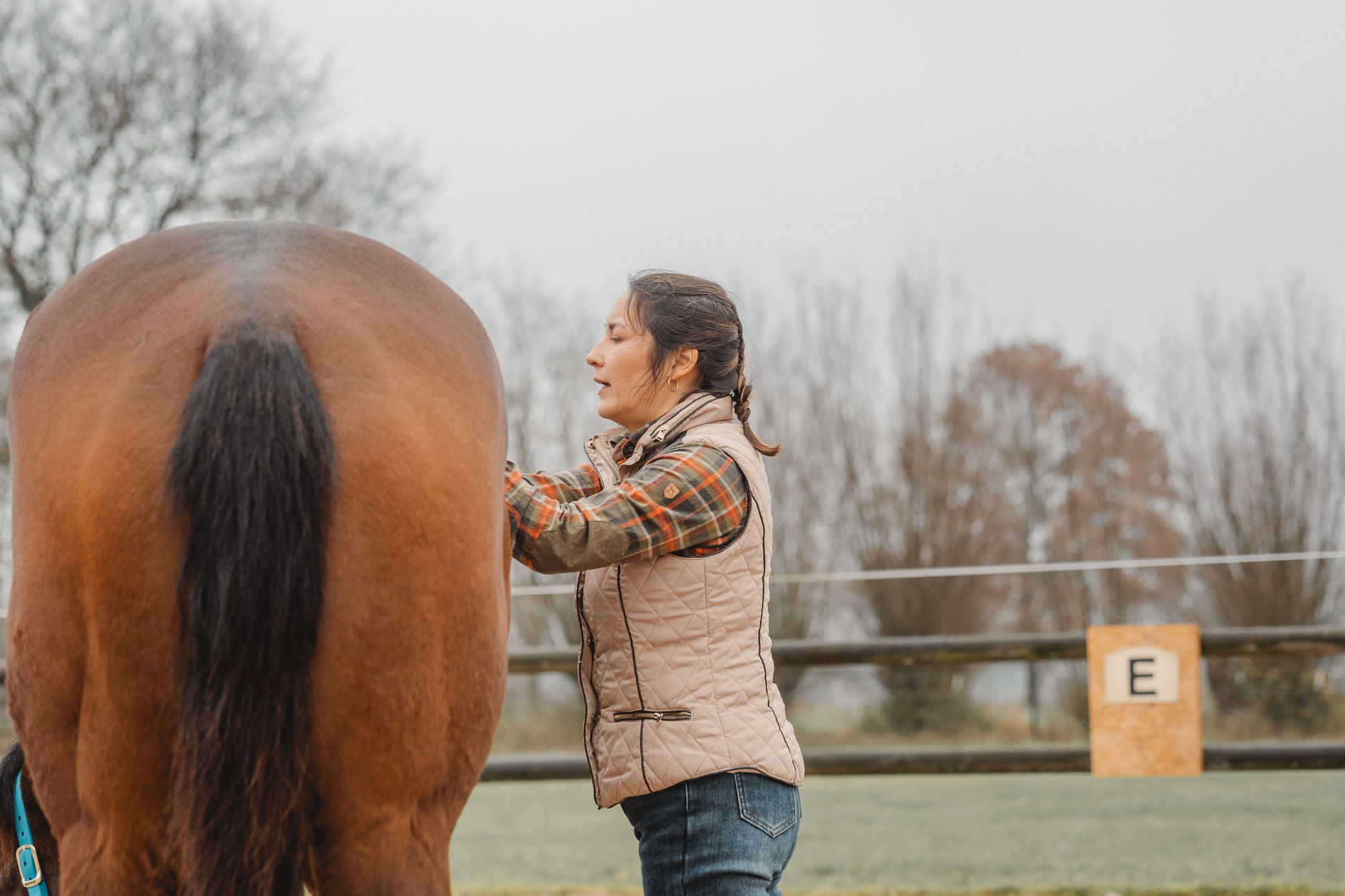 Ist mein Pferd krank oder hat es Schmerzen?
