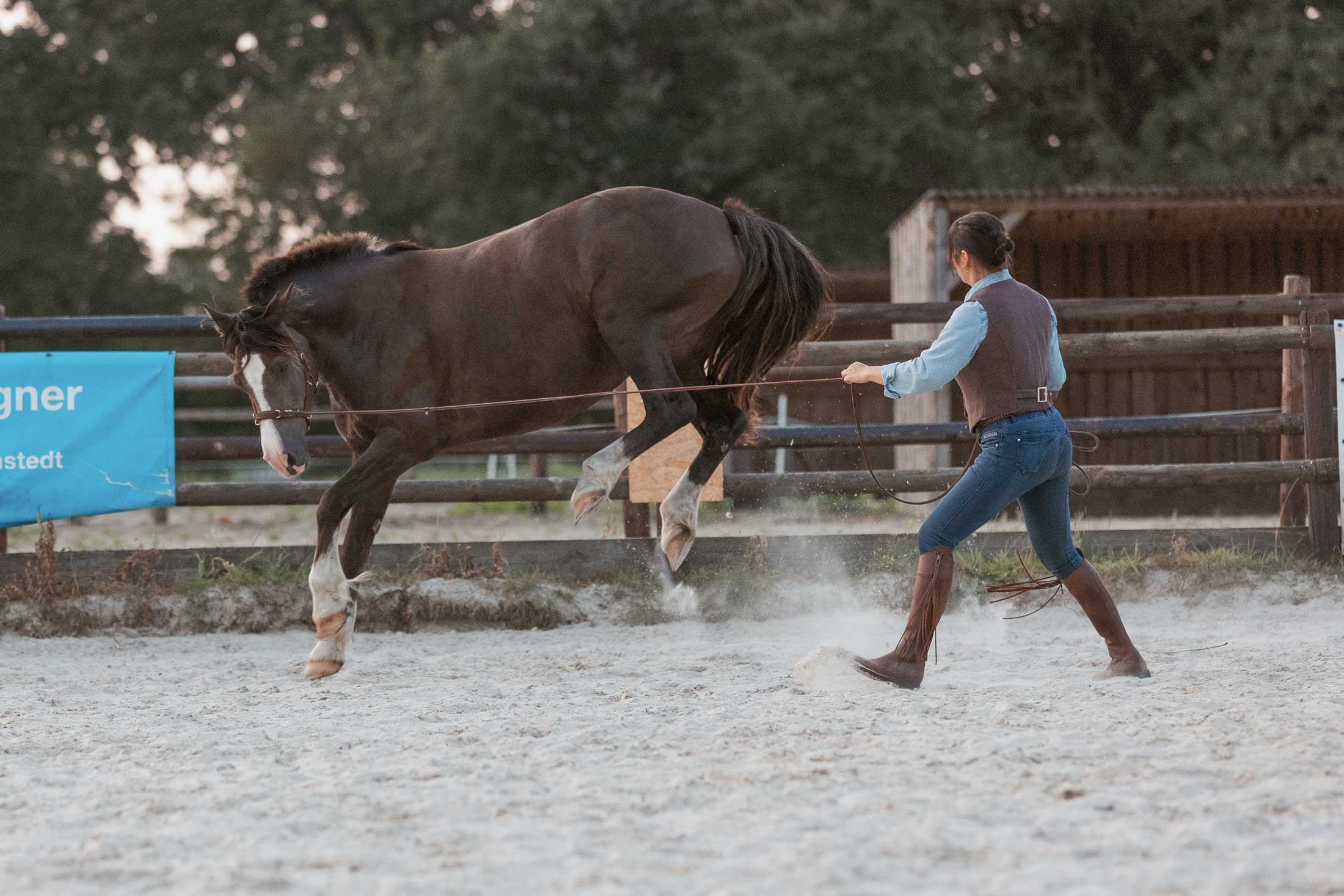 Ist mein Pferd krank oder hat es Schmerzen?