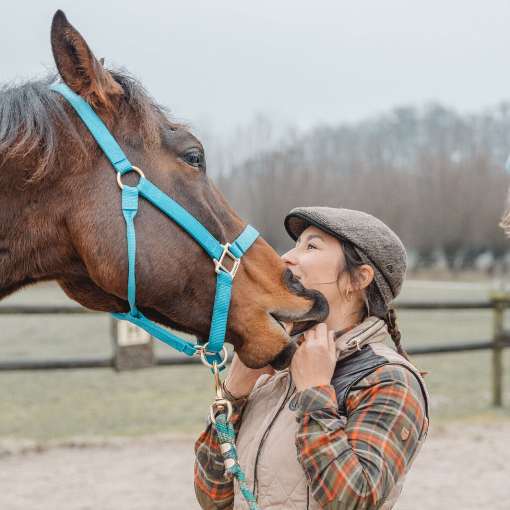 Wie du einen guten Therapeuten an den Reaktionen deines Pferdes erkennst