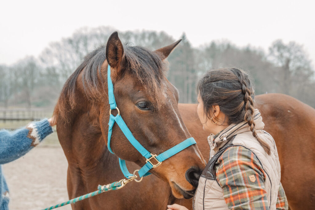 Wie du einen guten Therapeuten an den Reaktionen deines Pferdes erkennst
