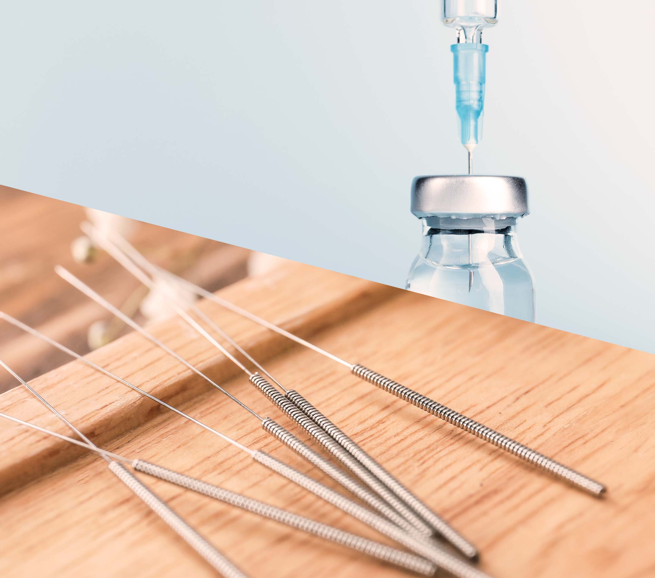 Traditionelle chinesische Medizin Pferd vs Schulmedizin