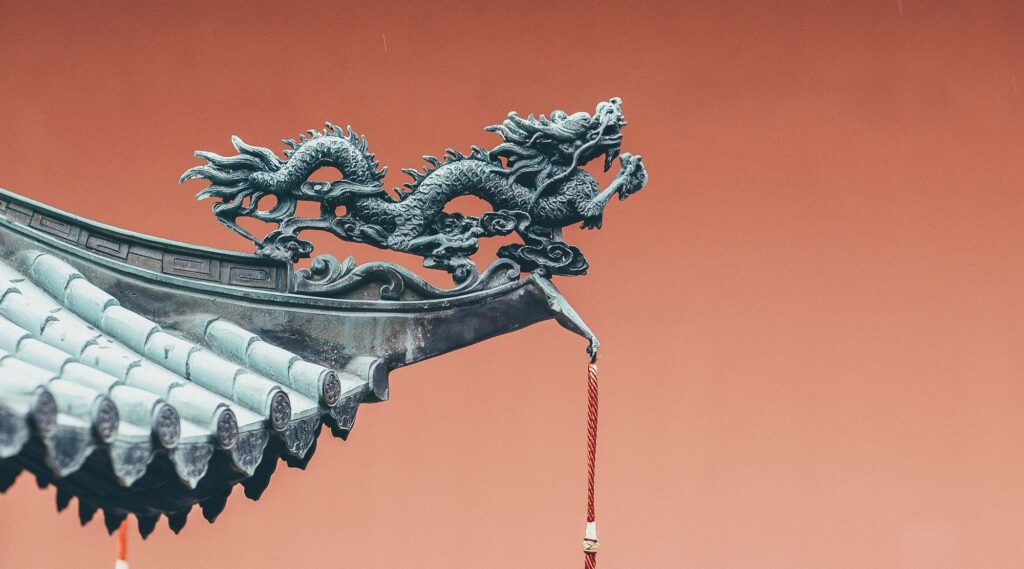 Traditionelle chinesische Medizin Pferd vs Schulmedizin