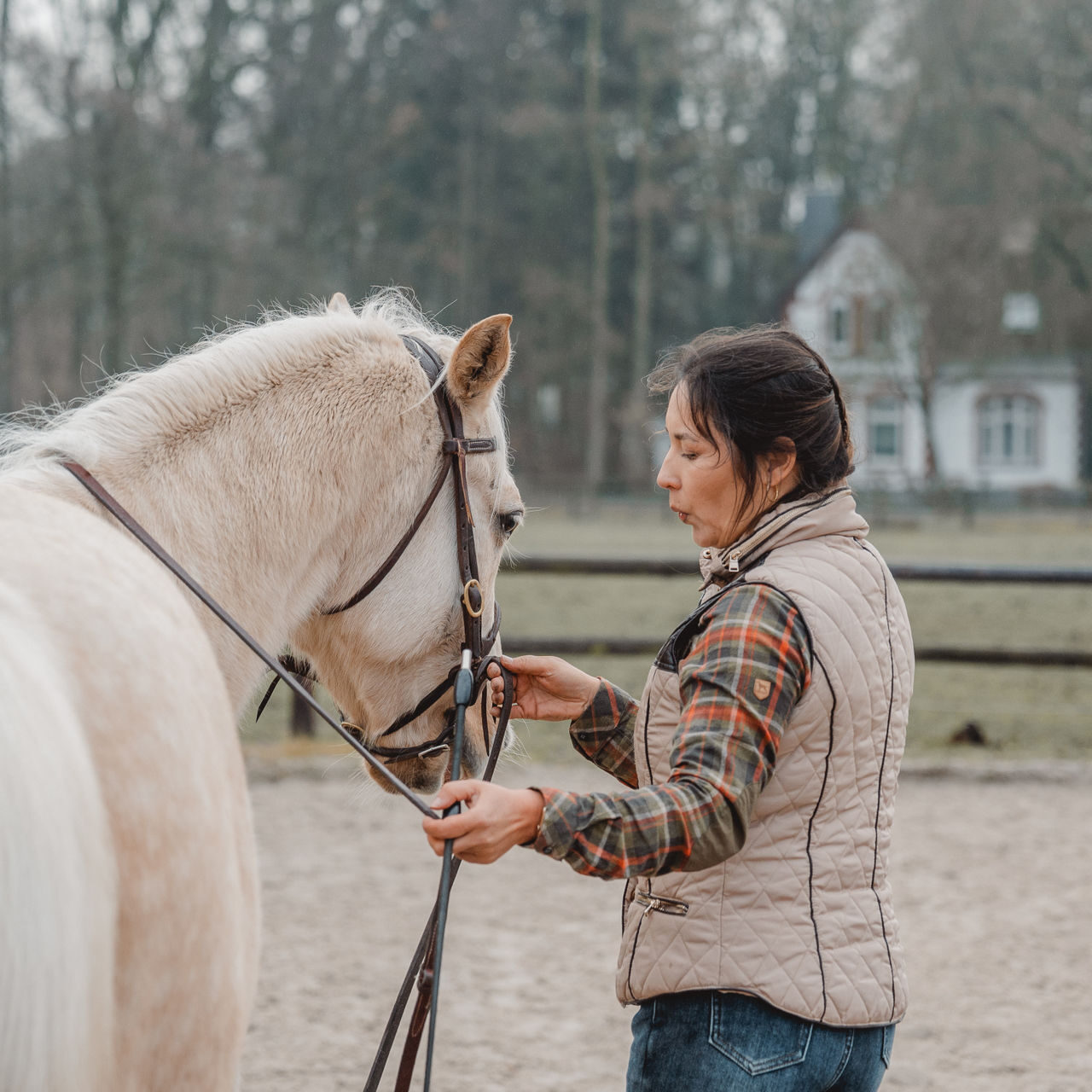 MAVITA - Pferdetraining und Reitunterricht - Arbeit an der Hand