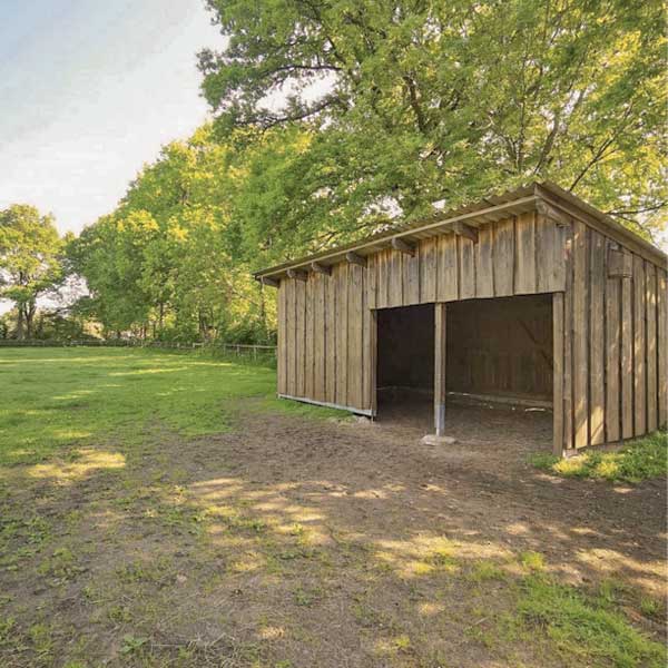 Unterbringung – Vollberitt & gesunde Pferdeausbildung