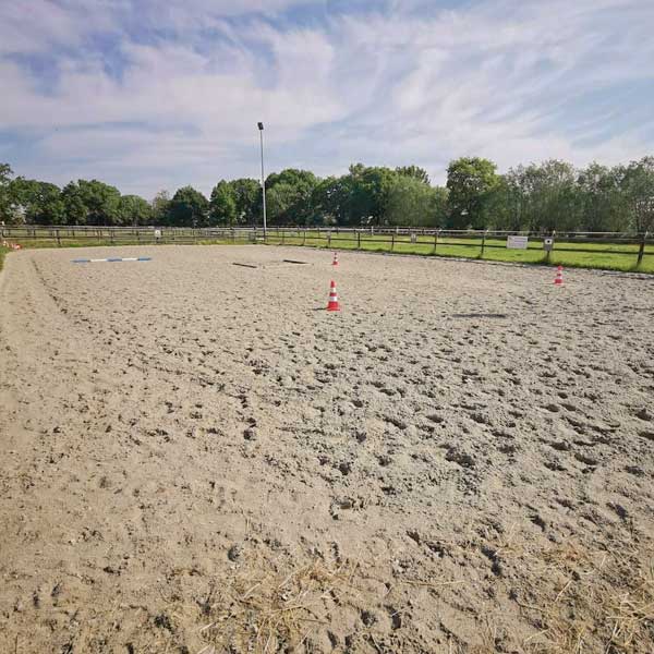 Unterbringung – Vollberitt & gesunde Pferdeausbildung