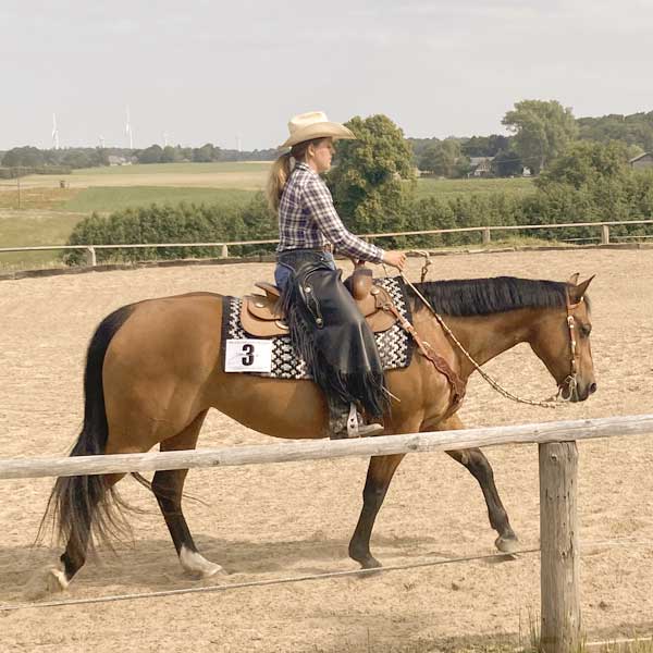 Vollberitt & gesunde Pferdeausbildung
