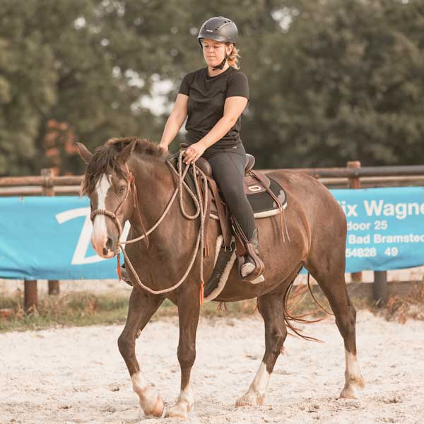 Vollberitt & gesunde Pferdeausbildung