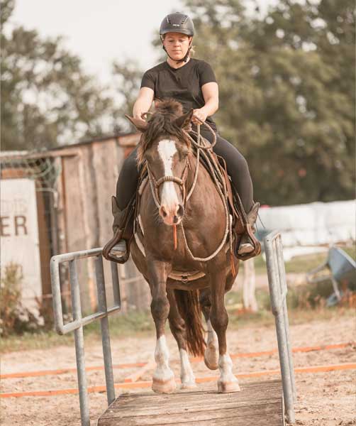 Vollberitt & gesunde Pferdeausbildung
