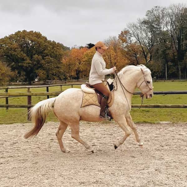 Vollberitt & gesunde Pferdeausbildung