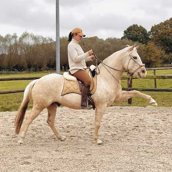 Vollberitt & gesunde Pferdeausbildung