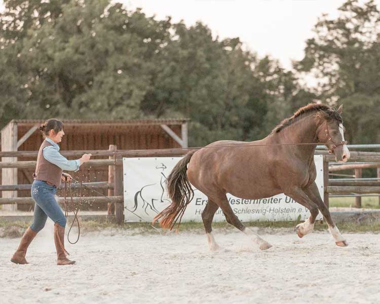 Vollberitt & gesunde Pferdeausbildung