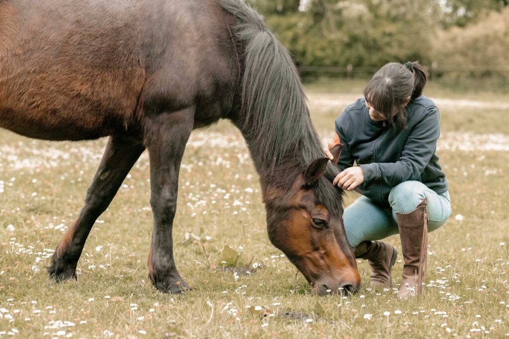 Dein Pferd spiegelt dich – warum echte Veränderung oft bei uns selbst beginnt