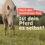 Test: Ist dein Pferd ees selbst?